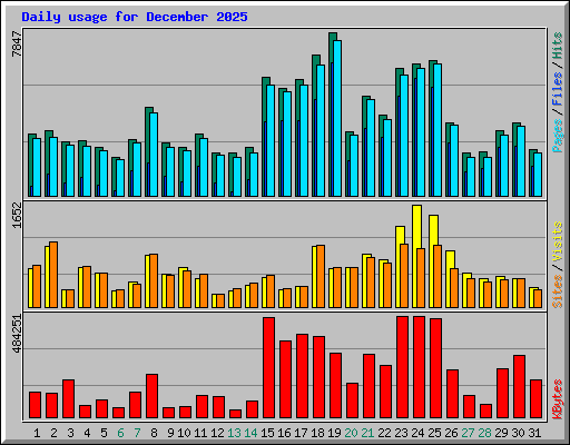 Daily usage for December 2025