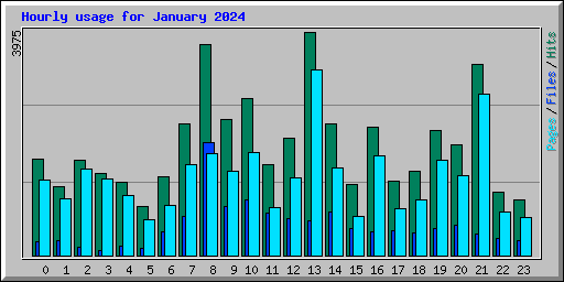 Hourly usage for January 2024