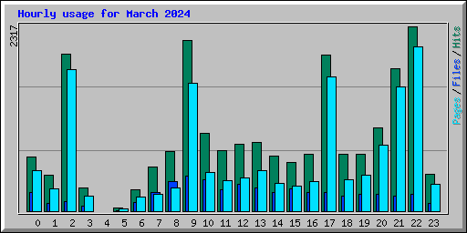 Hourly usage for March 2024