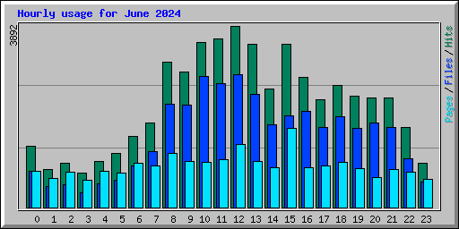 Hourly usage for June 2024