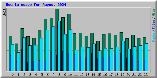 Hourly usage for August 2024