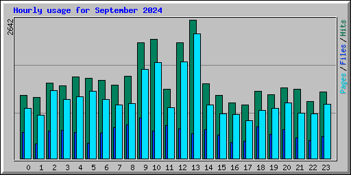 Hourly usage for September 2024