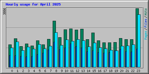 Hourly usage for April 2025