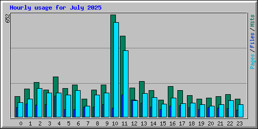 Hourly usage for July 2025