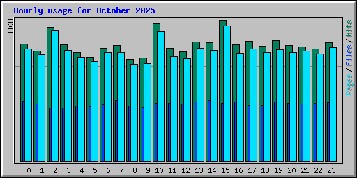 Hourly usage for October 2025