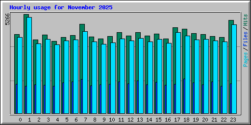 Hourly usage for November 2025