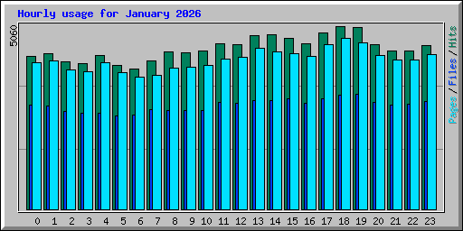 Hourly usage for January 2026