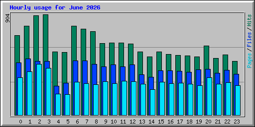 Hourly usage for June 2026