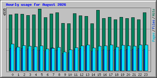 Hourly usage for August 2026